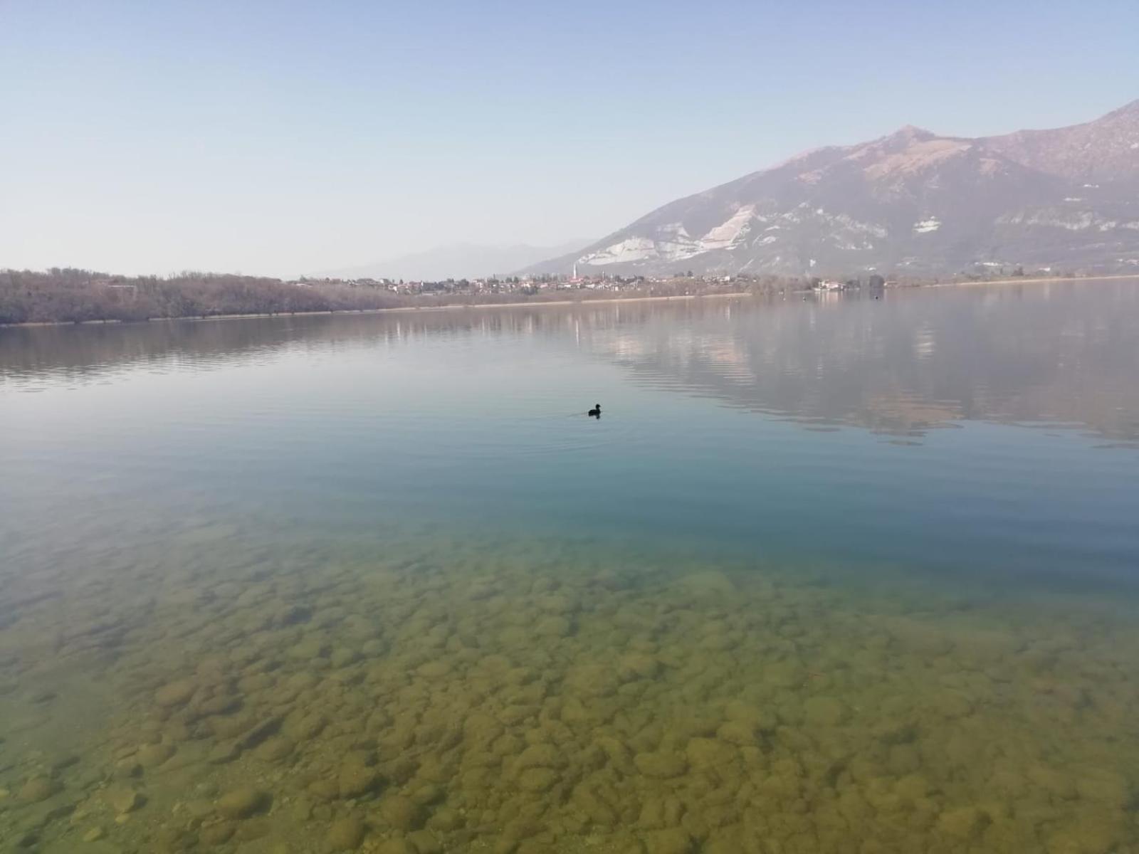 La Poesia Del Lago Oggiono Eksteriør bilde