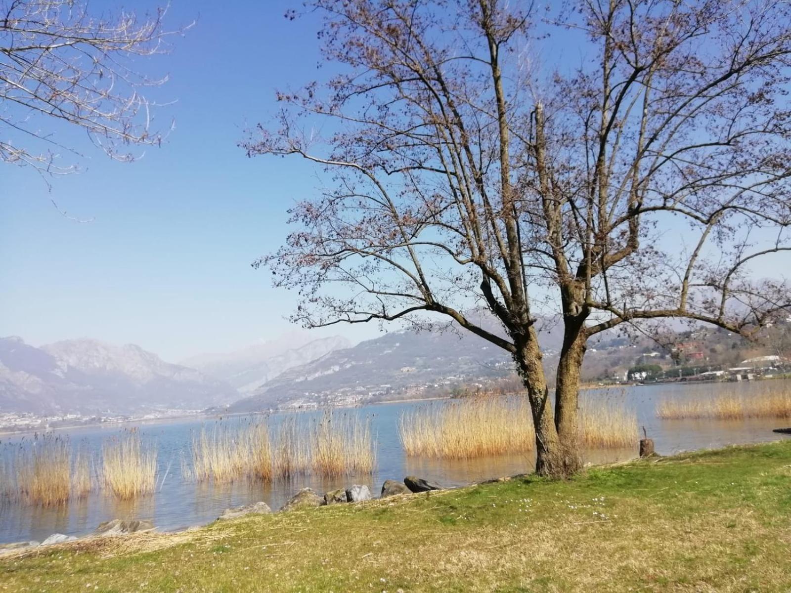 La Poesia Del Lago Oggiono Eksteriør bilde